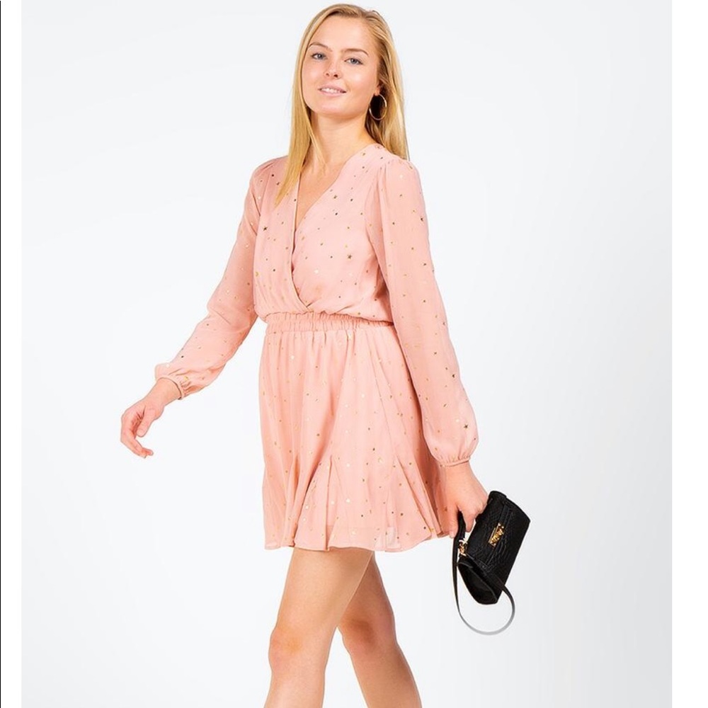 Pink Dress w/ Gold Stars (Francescas)